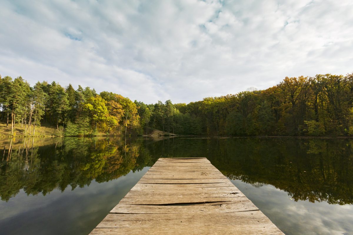 دریاچه در دل جنگل در غروب آفتاب